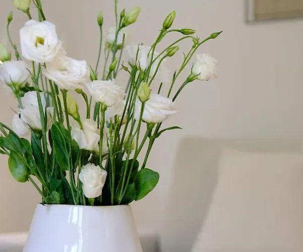 Lisbon City Villa Lisbon